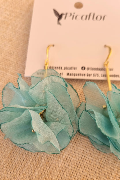 Aros Jacinta