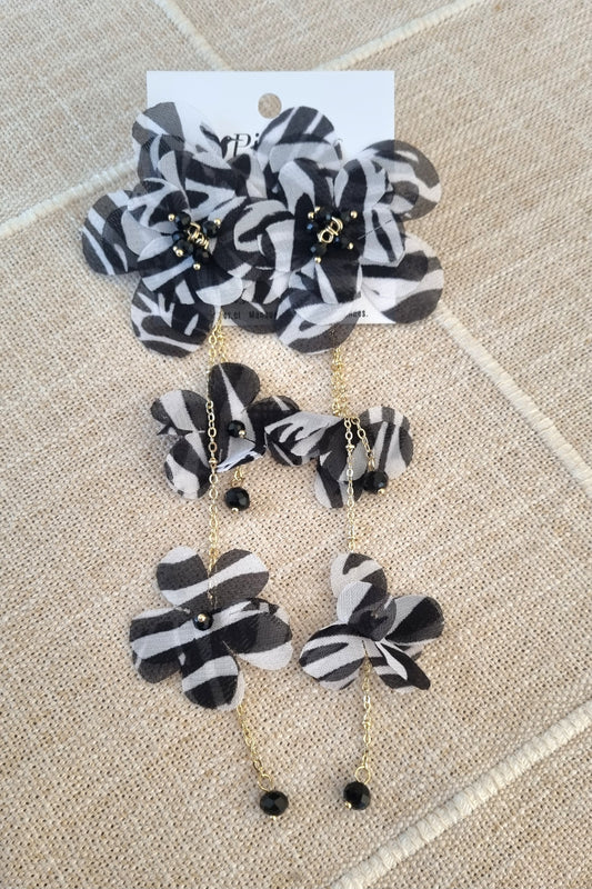 Aros Zibra