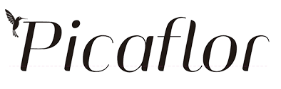 LOGO_WEB